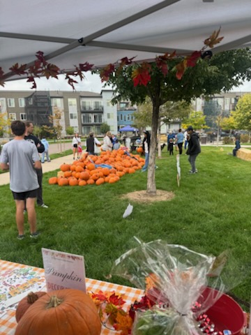 Fall Fest Broad View