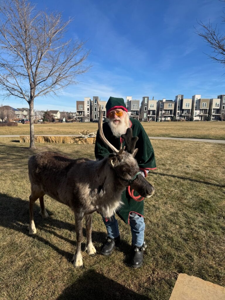 Reindeer and Elf