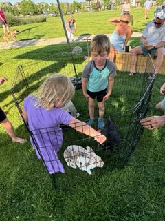 Kids at petting zoo