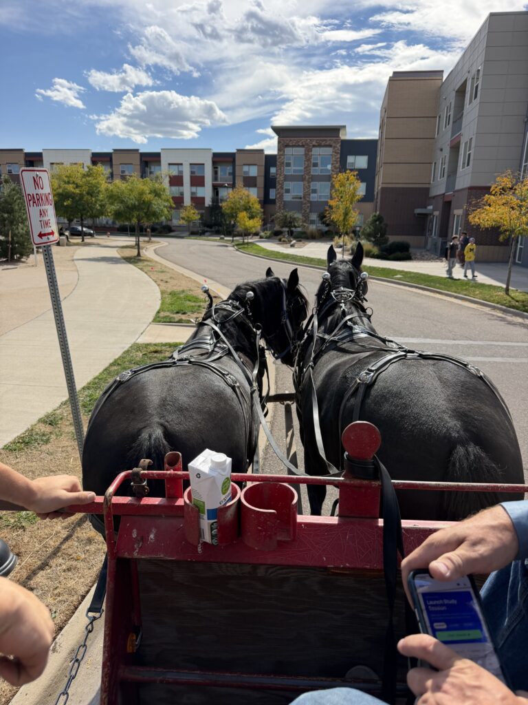 Horse Driver view