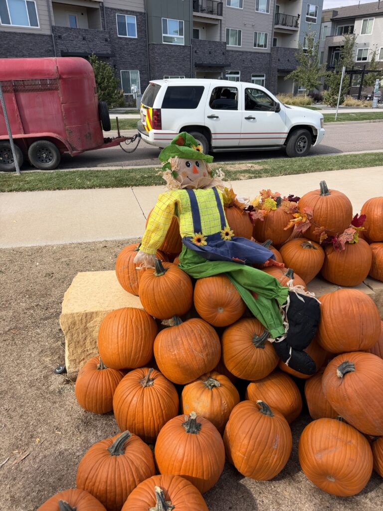 Scarecrow