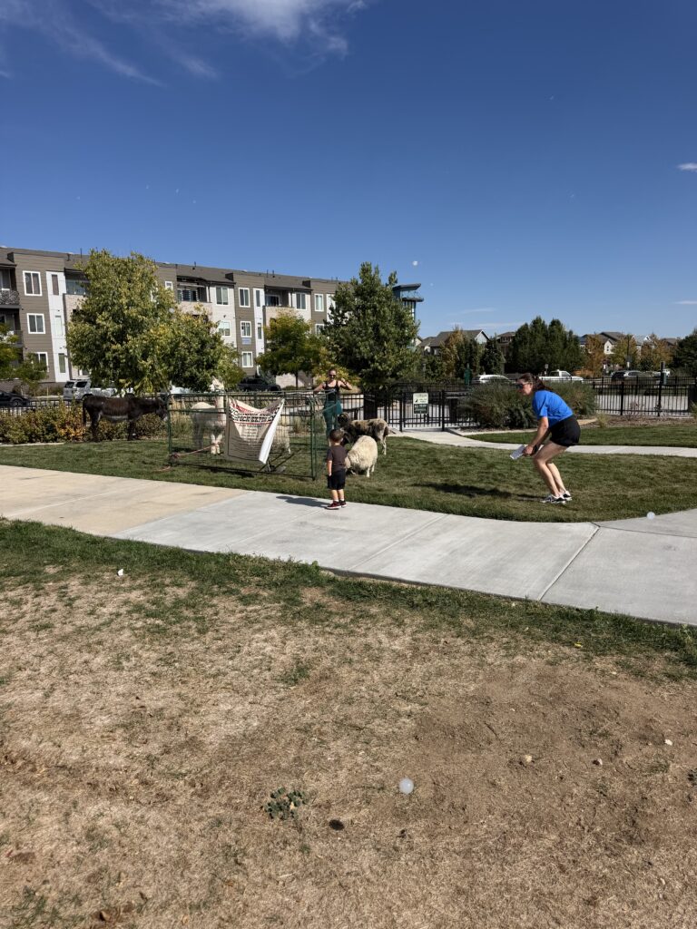 Kid's Playing