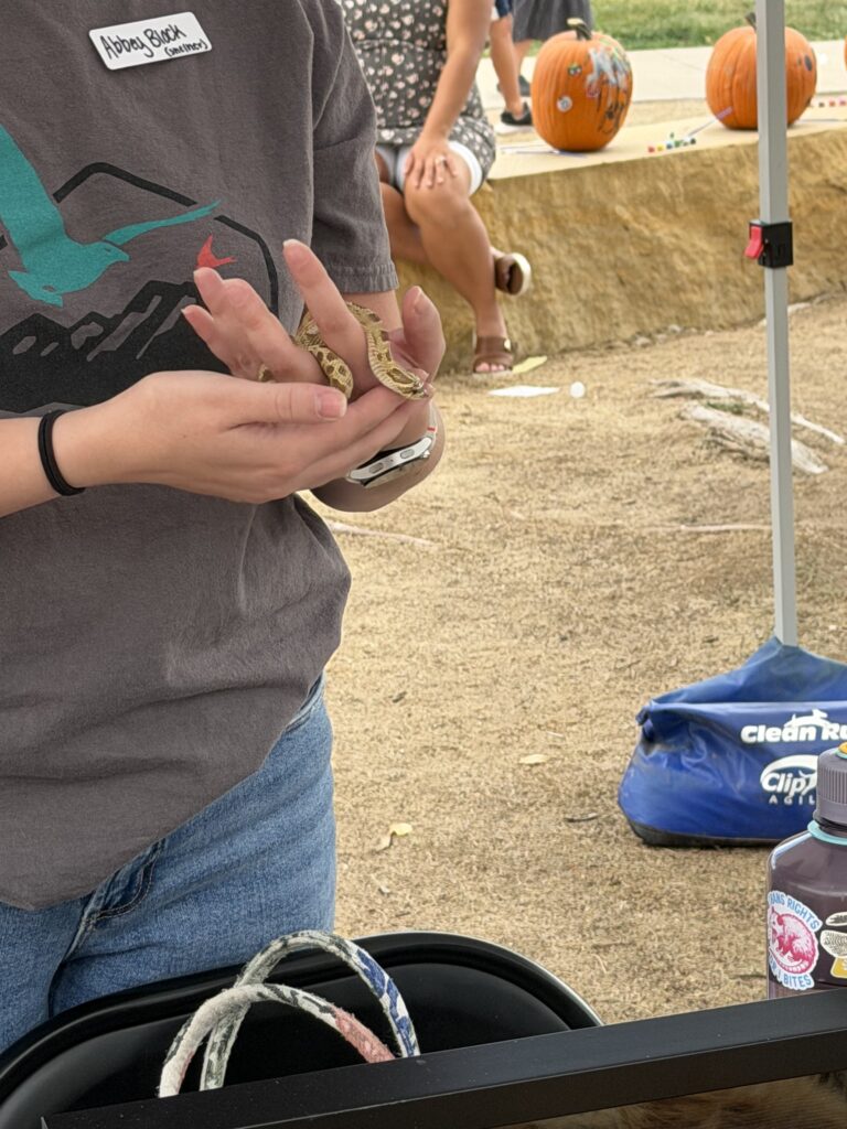 Snek